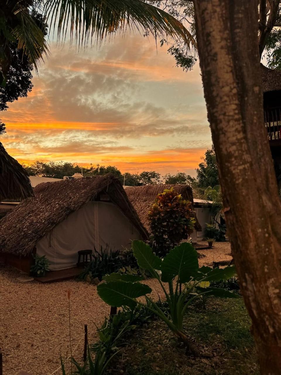 El Buho Bacalar Eco-Cabanas Hostal Εξωτερικό φωτογραφία